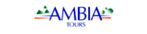 AMBIA TOURS